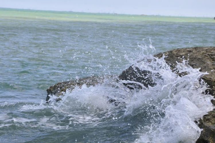 Bu çimərliklərə getməyiniz məsləhət deyil - Rəsmi AÇIQLAMA