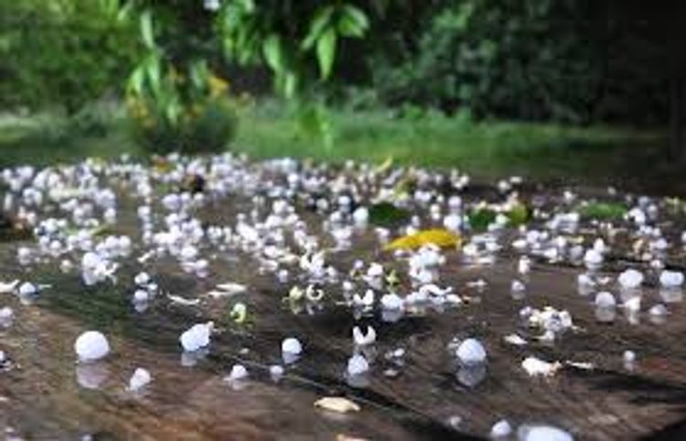 Sabah bu ərazilərdə dolu gözlənilir - PROQNOZ