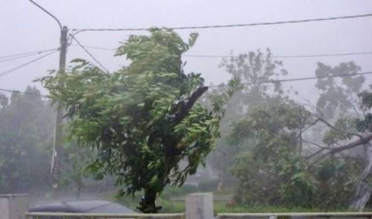 Hava XƏBƏRDARLIĞI: güclü külək əsəcək, yağış yağacaq