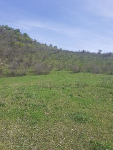 İsmayıllıda zəbt olunan örüş yerləri sakinlərə qaytarıldı