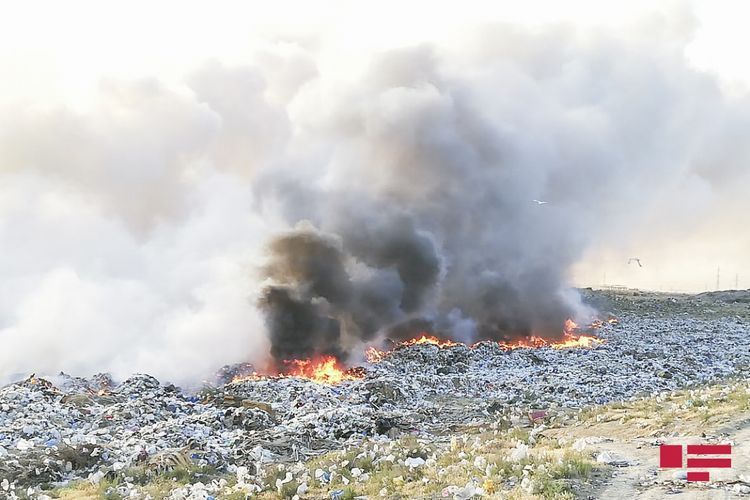 Nazirlik vəzifəli şəxsi 4800 manat cərimələdi
