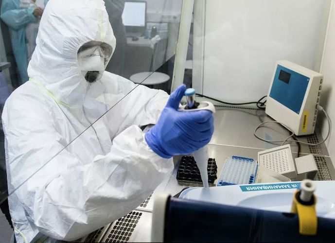 Koronavirus peyvəndi ilin sonunadək hazır ola bilər