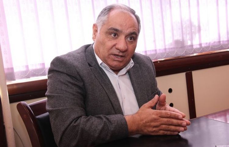 "Televiziyaları tənqid etmək üçün ciddi səbəb yoxdur" - Qulu Məhərrəmli