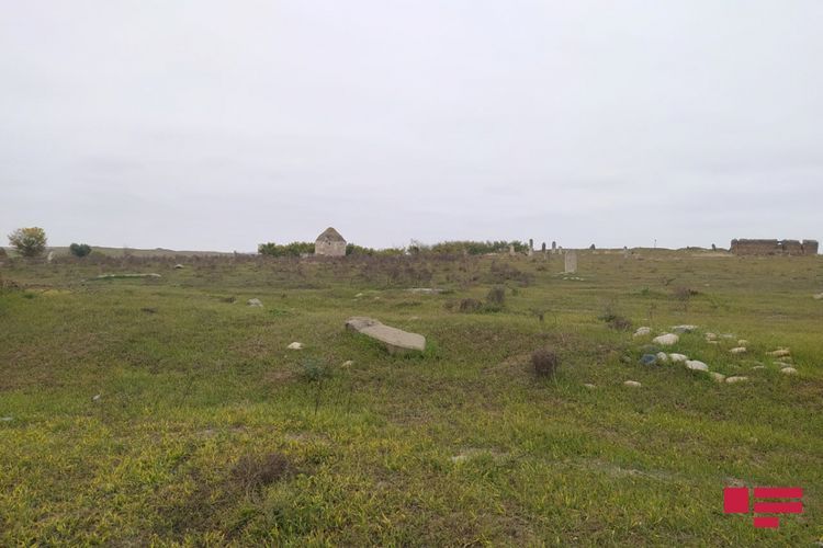 Ermənilər kənd qəbiristanlığını dağıdıb, yerində taxıl əkiblər 