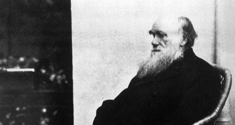 Darvinin iki əlyazması oğurlandı: özü də haradan?