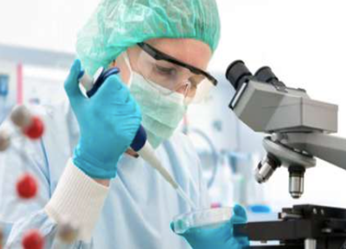 İki Avropa ölkəsində quş qripi epidemiyası yayıldı