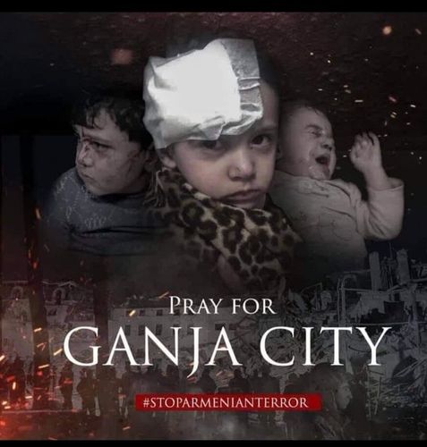 "Bu, Ermənistan siyasi-hərbi rəhbərliyinin əxlaqsız davranışının təzahürüdür" - Hikmət Hacıyev