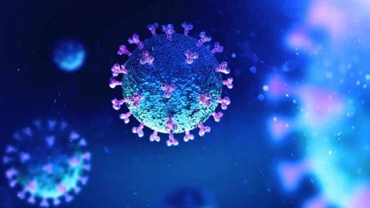 Koronavirus telefon ekranında 28 gün qala bilir