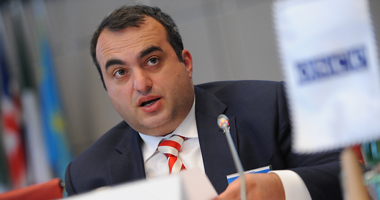 Nazir müavini: “Gürcüstan ərazisi ilə Azərbaycan və Ermənistana hərbi tranzit həyata keçirilmir”