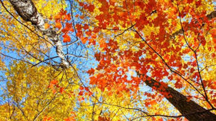 Sabahın hava PROQNOZU