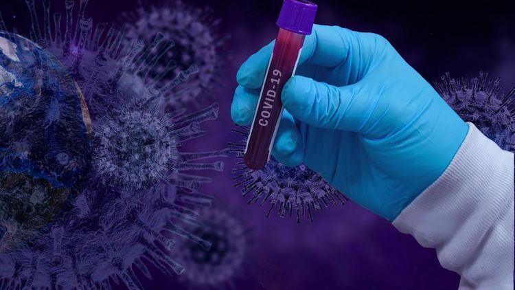 Koronavirus mutasiyalarının gələcək mənbəyi AÇIQLANDI