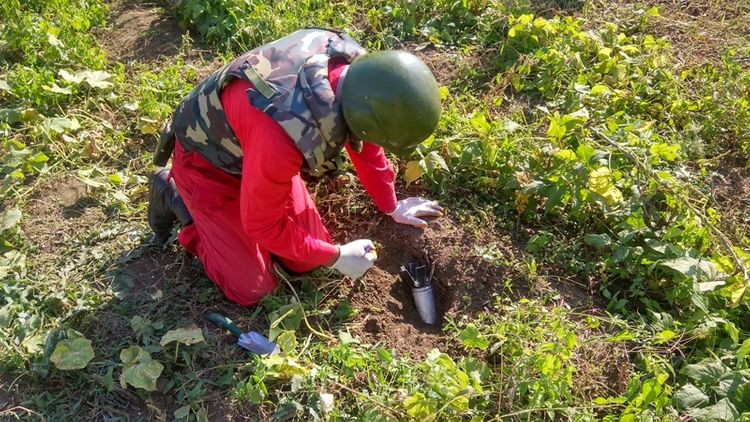 Cəbhəyanı bölgələrdə dron və mərmilərin zərərsizləşdirilməsi üzrə növbəti əməliyyat keçirilib - FOTO