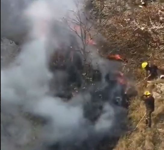 "Düşmən hücumu nəticəsində Daşkəsəndə meşə yandı" - Hikmət Hacıyev - VİDEO