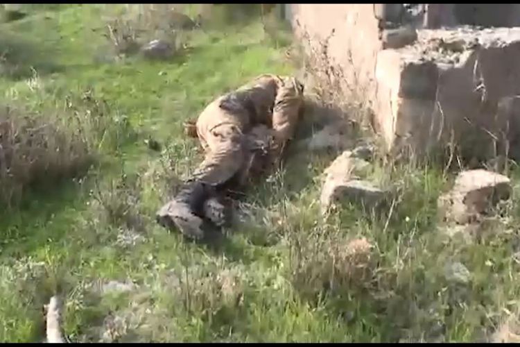 Zəngilanda Ermənistan xüsusi təyinatlılarının qrupu məhv edildi  - VİDEO