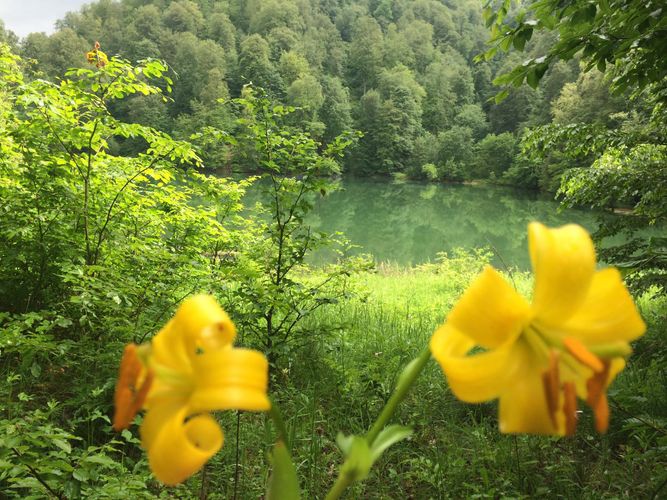 "Ermənistan Azərbaycan təbiətinə qarşı ekoloji terror törədir" - Nazirlik rəsmisi