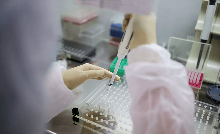 Braziliyada bir gündə 42,7 minədək insanda koronavirus aşkarlandı