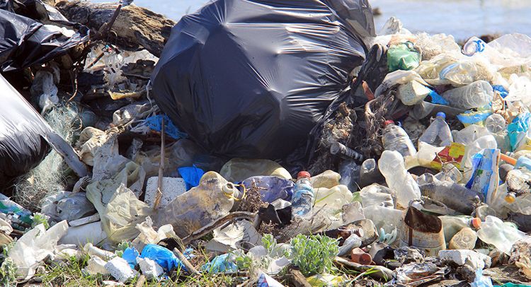 Sumqayıt bələdiyyəsi cərimələnəcək - SƏBƏB