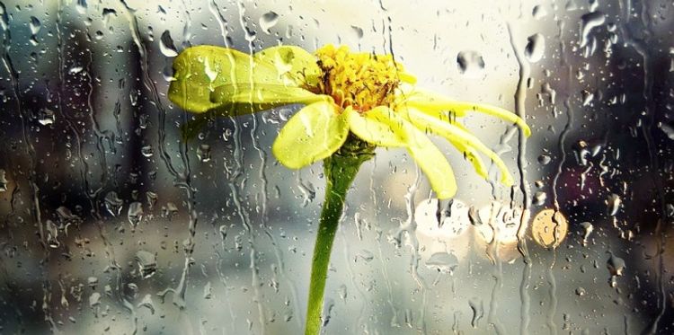 Sabahkı hava ilə bağlı XƏBƏRDARLIQ 