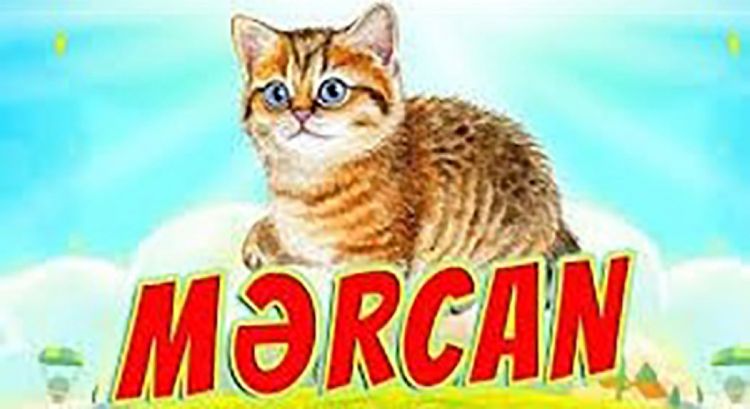 Kiçik yaşlı oxucular üçün “Nağıl saatı” təşkil edildi