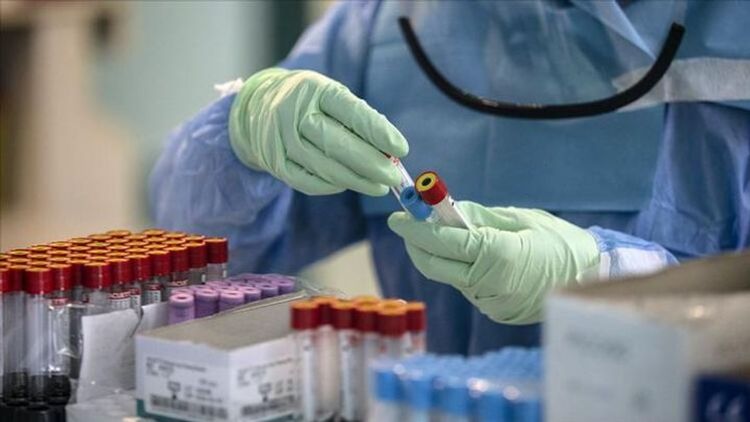 Şəkidə koronavirusa KÜTLƏVİ YOLUXMA 