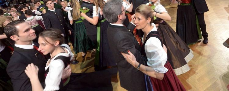 Vyanada bal mövsümü ləğv edildi