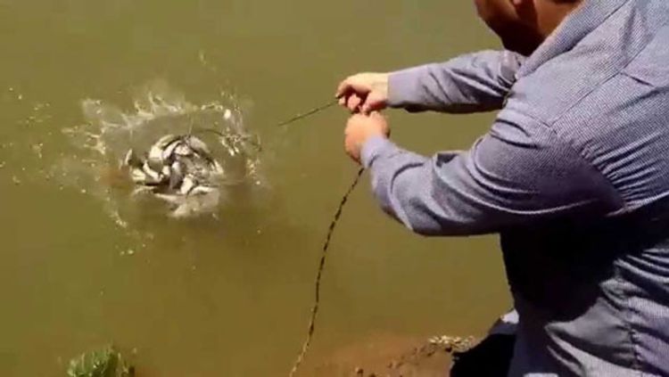 Qanunsuz balıq ovlayan cəzalandırıldı