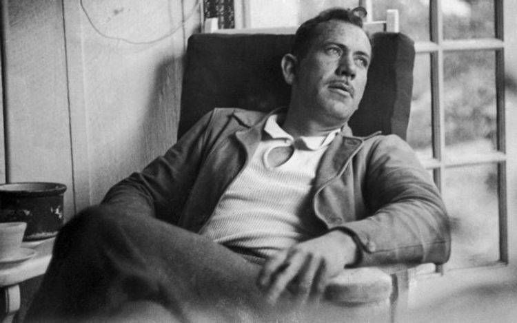 Hollivudda 17 əsəri ekranlaşdırılan yazıçı