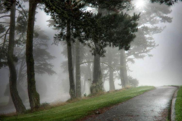 Sabahın hava proqnozu - DUMAN OLACAQ