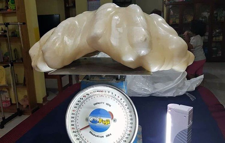 Balıqçıya 100 milyon qazandıran "daş"
