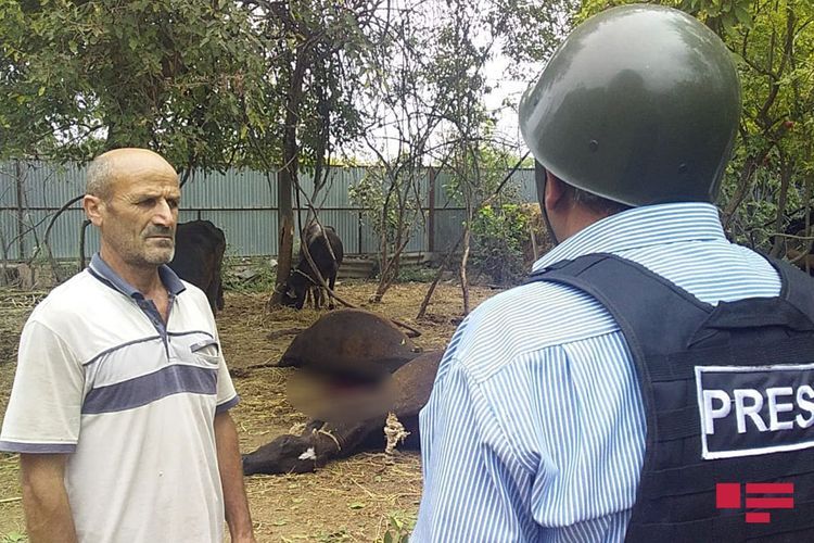 Düşmən Bərdənin kəndlərini ağır artilleriyadan atəşə tutur 