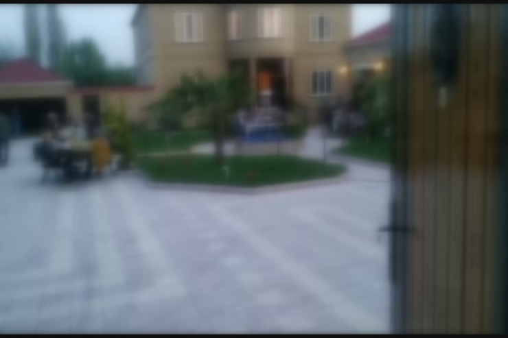 karantində toy