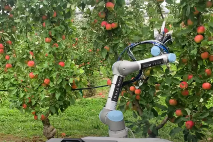 Bu ölkədə almanı robotlar yığır -  VİDEO 