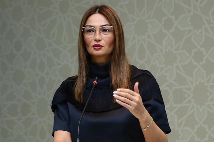 Qənirə Paşayeva, millət vəkili