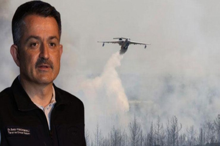 Bəkir Pakdəmirli, meşə sənayesi naziri