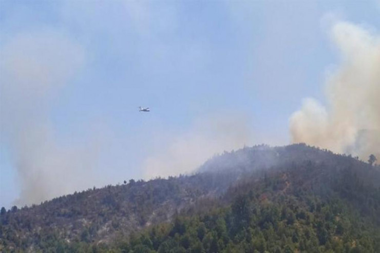 Qəbələdə meşə yanır: söndürülməsinə 2 helikopter cəlb olundu - VİDEO 