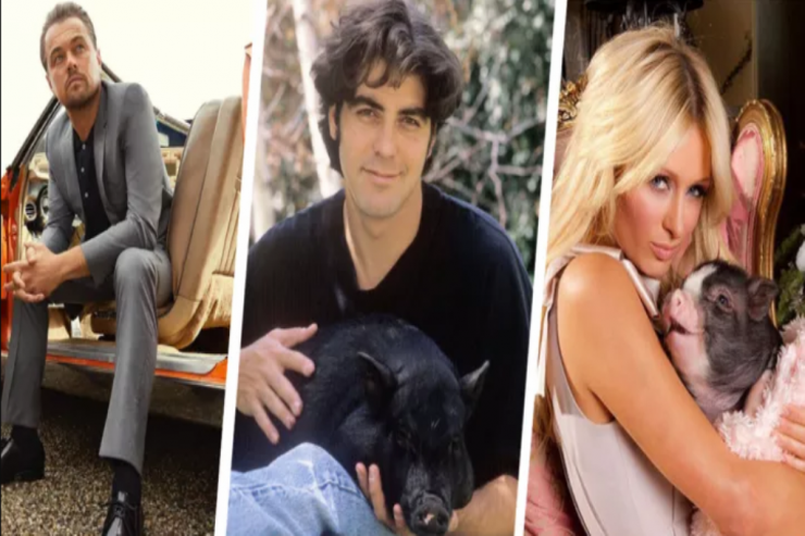 Ulduzların  ən qeyri-adi   sevimliləri  -  FOTOLENT 