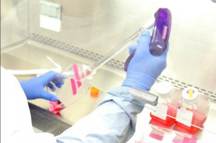 Koronavirus bu uzaq adaya da ayaq açdı