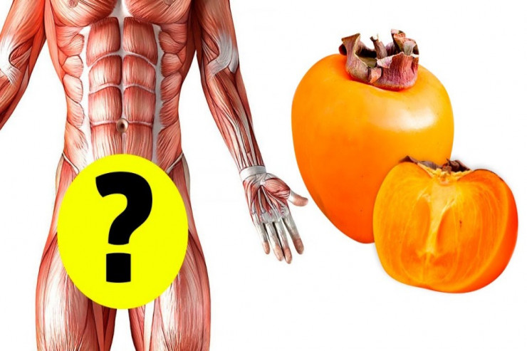 Hər gün  xurma yesəniz   orqanizmdə nə baş verər?