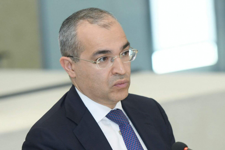 Mikayıl Cabbarov Güləş Federasiyasının prezidenti seçildi