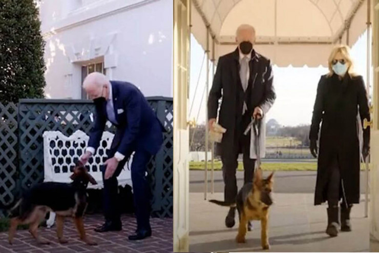 "Ağ Evə xoş gəlmisiniz, Kommander" - Bayden yeni itini paylaşdı 