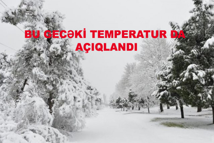 Azərbaycanda oksigenlə zəngin hava olacaq - RƏSMİ 