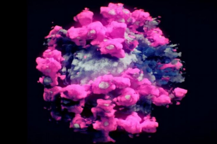 Koronavirusun ilk 3D fotoşəkili yayımlandı