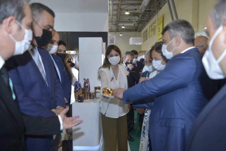 “CHOCO ART” ilk dəfə sərgidə iştirak edib -  FOTO 