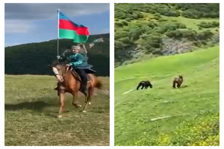 Qarabağ atları Şuşada