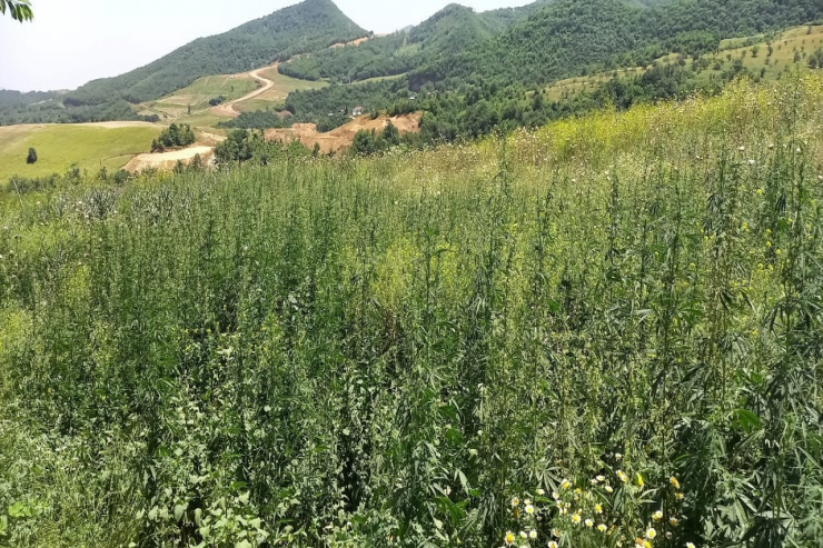 Şuşada əməliyyat: ton yarımdan çox… 