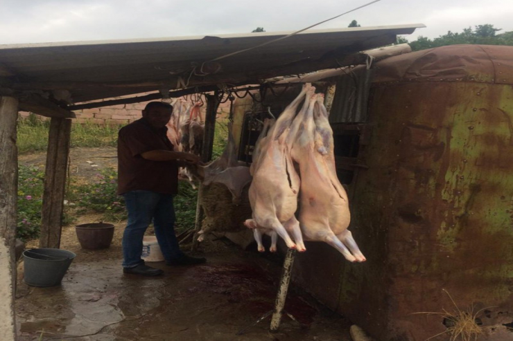 Qanunsuz heyvan kəsimi məntəqələri  AŞKARLANDI 