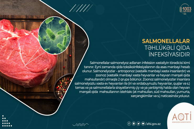 Salmonella təhlükəli qida infeksiyasıdır - RƏSMİ 