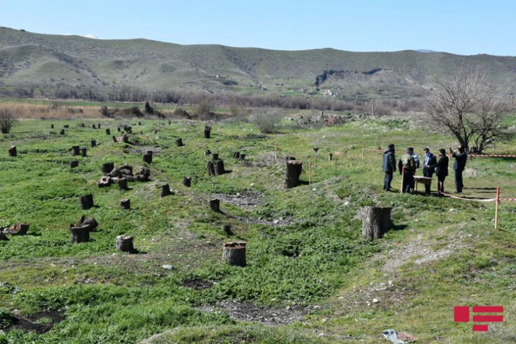 Qubadlı rayonunun Qəzyan kəndi