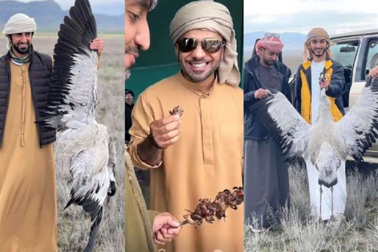 Ərəb turistlərlə bağlı  YENİ AÇIQLAMA:   "İnsanları çaşdırmağa ehtiyac yoxdur"