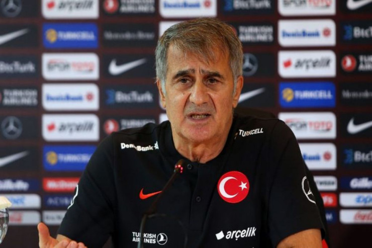 Şenol Günəş, Türkiyə yığmasının baş məşqçisi